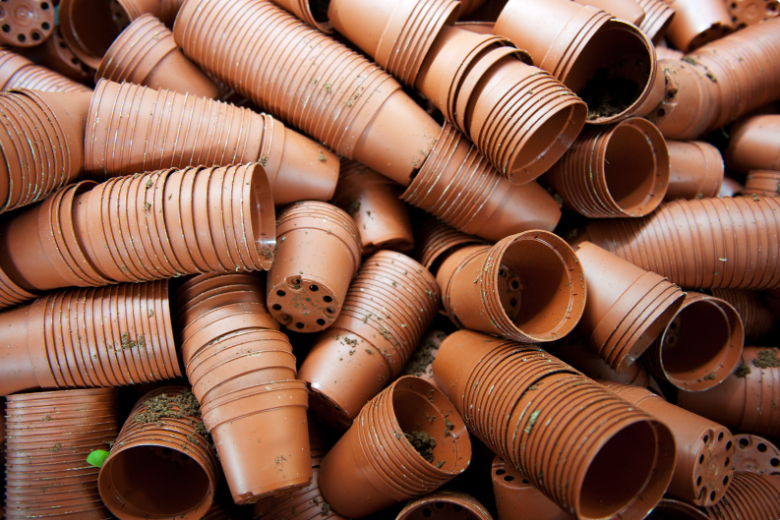 какие горшки лучше всего для орхидей